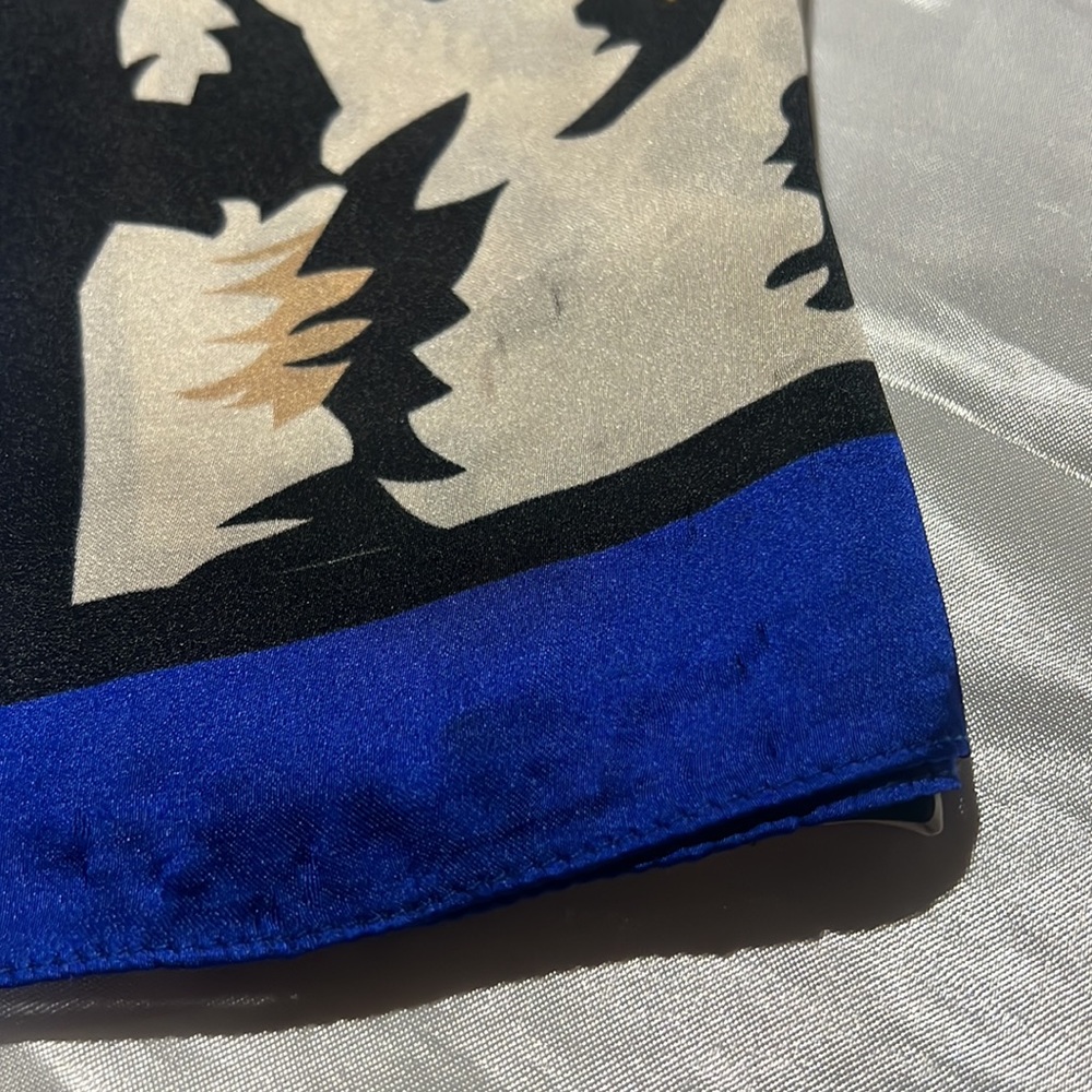 Silk Scarf - Picture 2 of 10